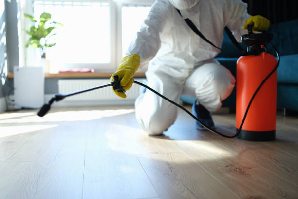 Reliable Odor Removal contractor in Joshua, TX by Trauma Clean Pros